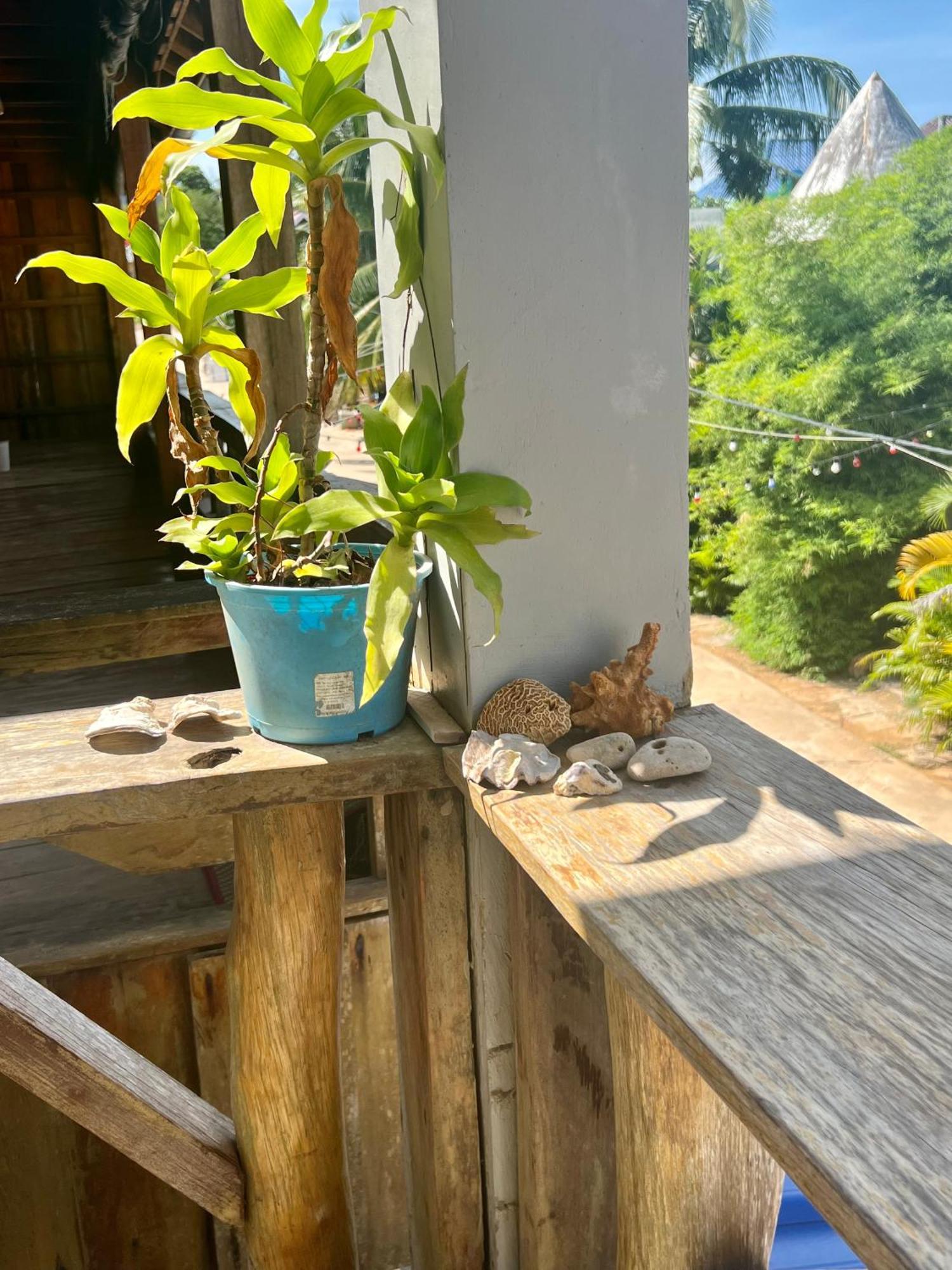 Ing Ing Guesthouse ロンサレム島 エクステリア 写真